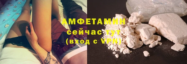 стафф Алзамай