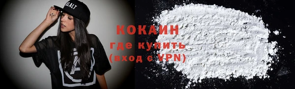 индика Абинск
