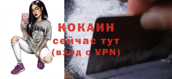 индика Абинск