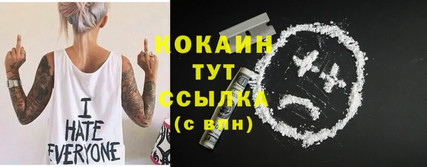 индика Абинск