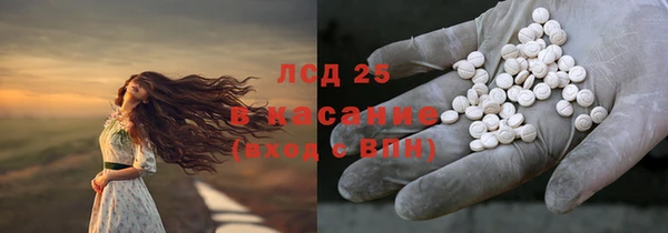 стафф Алзамай