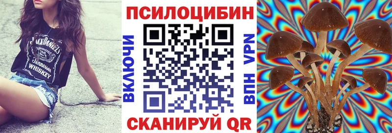 Псилоцибиновые грибы мицелий  Сусуман 